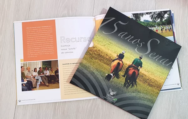 Relatorios-instituciaonais-rogerio-nolasco-site Relatorios-instituciaonais-rogerio-nolasco-site